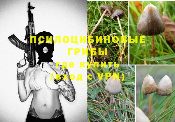 круглые Алзамай