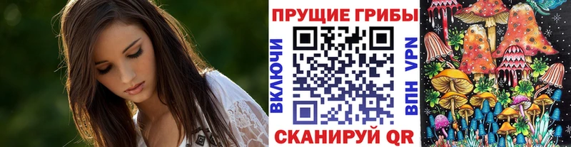 сайты даркнета клад  Урюпинск  Псилоцибиновые грибы Psilocybine cubensis 